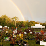 Plantes rares et exceptionnelles