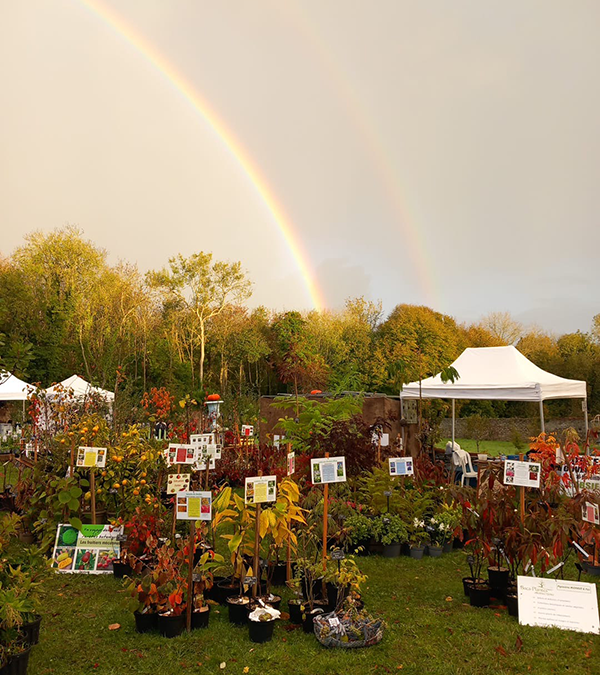 Plantes rares et exceptionnelles