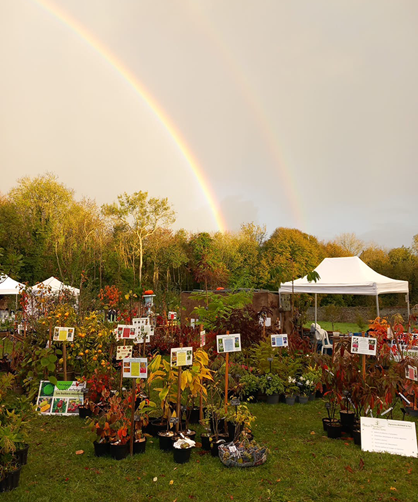 Plantes rares et exceptionnelles