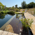 Réalisation de piscines naturelles