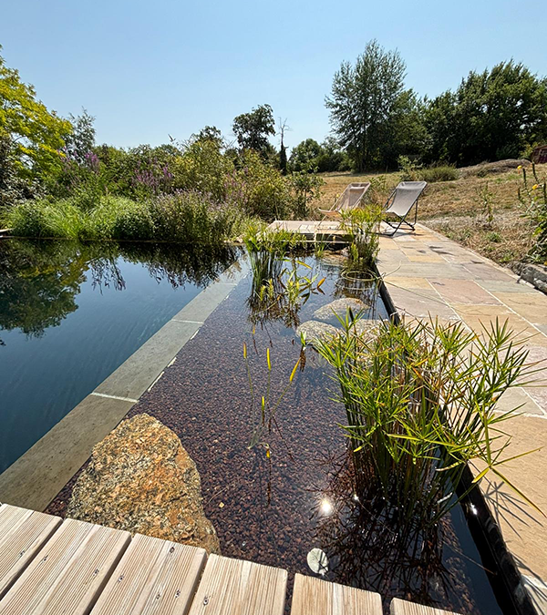 Réalisation de piscines naturelles