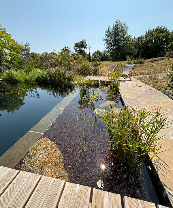 Réalisation de piscines naturelles