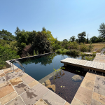 Réalisation de piscines naturelles