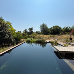 Réalisation de piscines naturelles