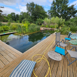 Réalisation de piscines naturelles