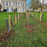 Plantations de plantes rares et exceptionnelles