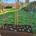 Plantations de plantes rares et exceptionnelles