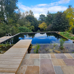 Création d'une piscine naturelle