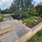 Création d'une piscine naturelle