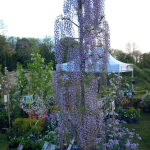 Fête des plantes à l'Absie en Deux Sèvres. Des plantes rares à découvrir