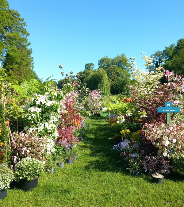 Fête des plantes à l'Absie en Deux Sèvres. Des plantes rares à découvrir