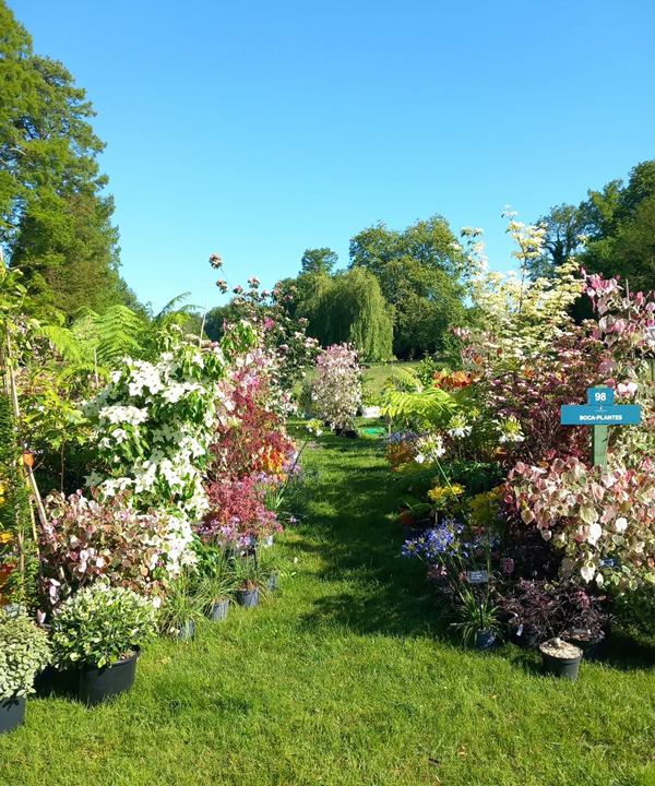 Fête des plantes à l'Absie en Deux Sèvres. Des plantes rares à découvrir