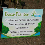 Fête des plantes à l'Absie en Deux Sèvres. Des plantes rares à découvrir